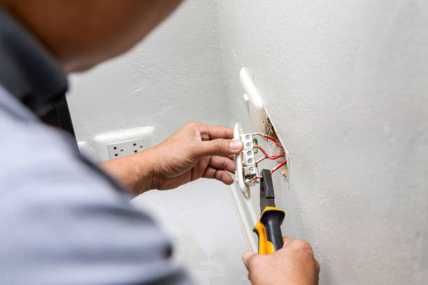Best Electrician for Home Renovation  in Martinsvle, IL