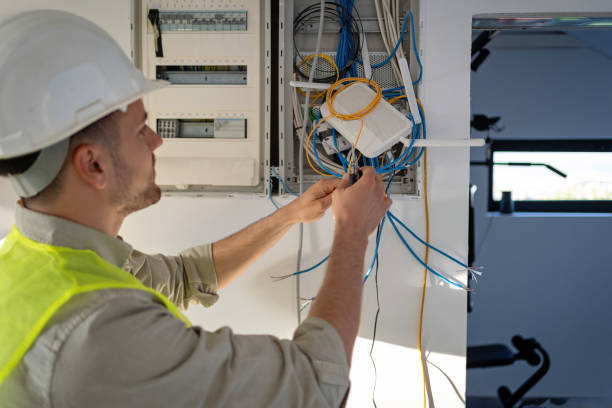 Best Generator Installation Services  in Martinsvle, IL